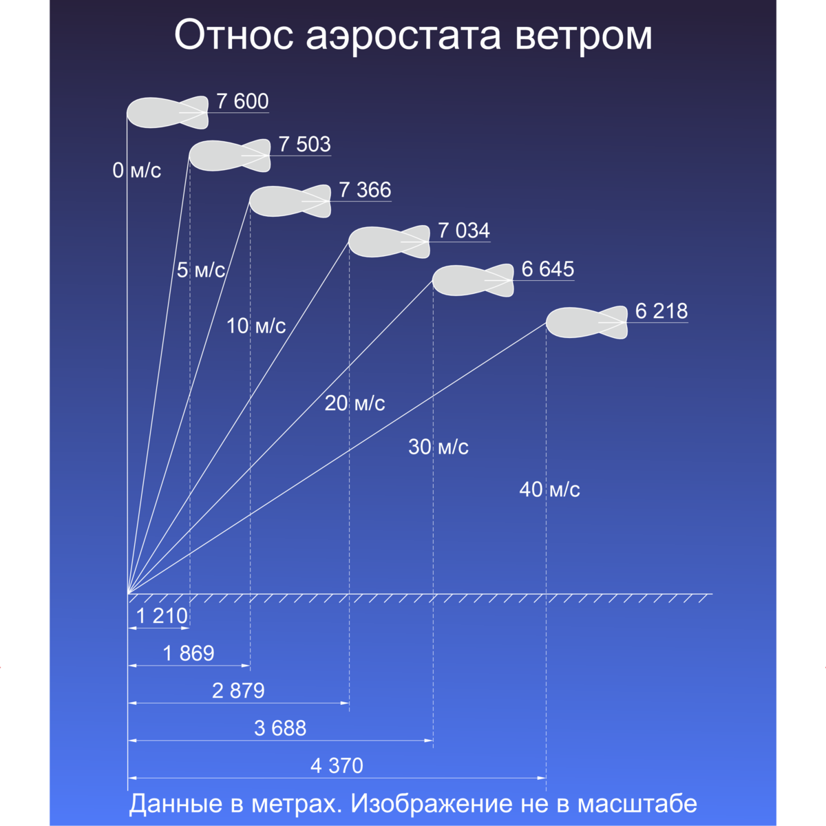 Инфографика автора