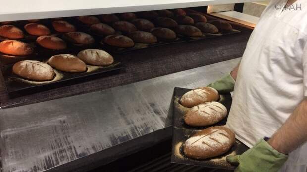 Господдержкой в Дагестане смогут воспользоваться около 50 хлебопекарных предприятий