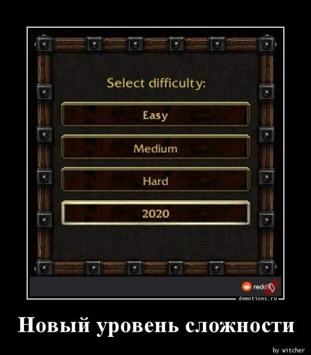 1591339566_demki-11.jpg