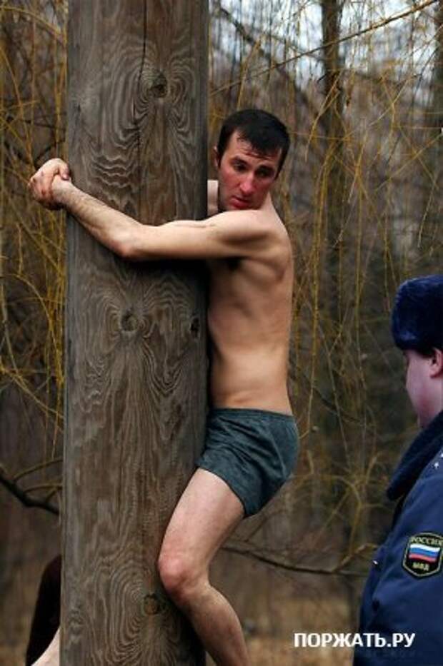 Приколы, картинки юмористические.