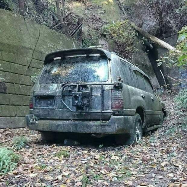 Печальное зрелище: брошенный в лесу Land Cruiser весь порос мхом