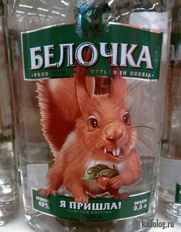 Веселые картинки с надписями до слез (12 фото) Веселые картинки с надписями до слез (12 фото)
