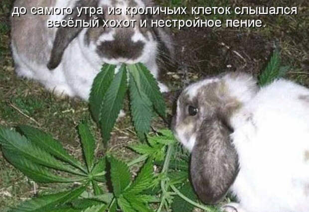 Позитив дня