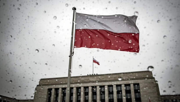 Поляки решили "покуражиться": Русского археолога Польша решила депортировать на Украину. Чем ответим?