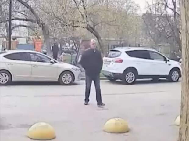 Полиция разберётся с живодёром, избившем собаку в Симферополе