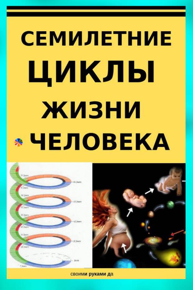 Каждому из нас предстоит пройти важные жизненные периоды — так называемые семилетние циклы, во время которых мы должны приобрести определённый опыт и перейти на более высокий уровень духовного и душевного развития. От 0 до 7 лет. Сильная связь с матерью