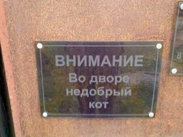 Забавные и странные объявления с наших улиц (22 фото)