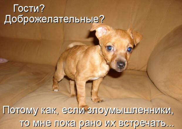 Прикольные картинки (30 фото)