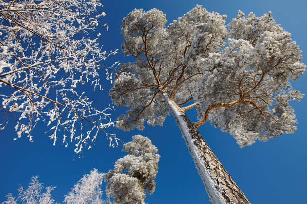 RUSSIA-ENVIRONMENT/