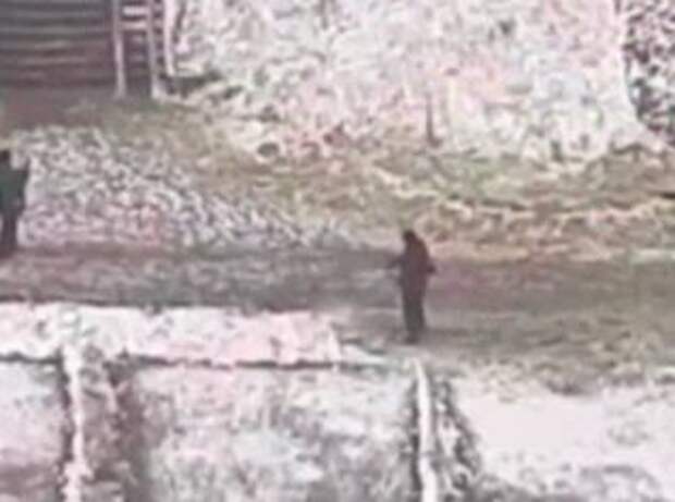 Киевские коммунальщики решили косить траву под снегом (Видео)