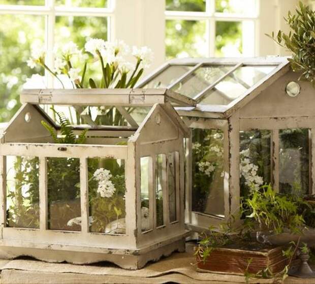 Миниатюрная теплица с нежно-зеленой рассадой украсит подоконник. Pottery Barn. Миниатюрная теплица с нежно-зеленой рассадой украсит подоконник. Pottery Barn.