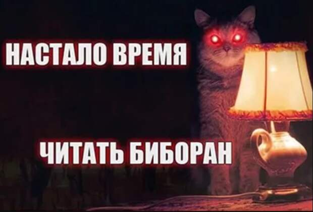 Настало время читать Биборан