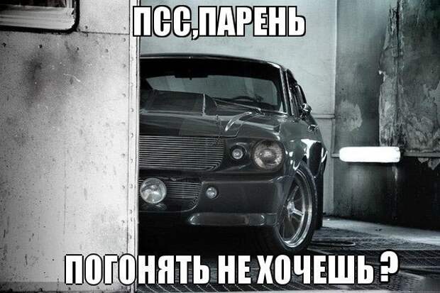 Новогодние приколы