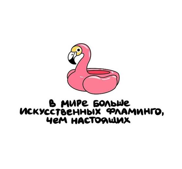 Интересные, но короткие факты на все случаи жизни