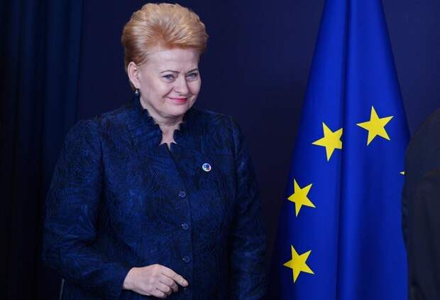Президент Литвы Даля Грибаускайте Президент Литвы Даля Грибаускайте