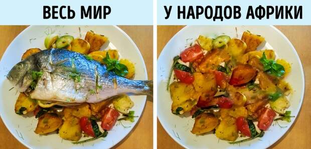 10 обычных продуктов, которые запрещены в разных странах мира