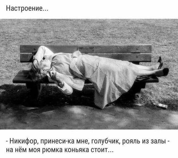 Лучшие юмористические картинки, которые подарят позитив на весь день