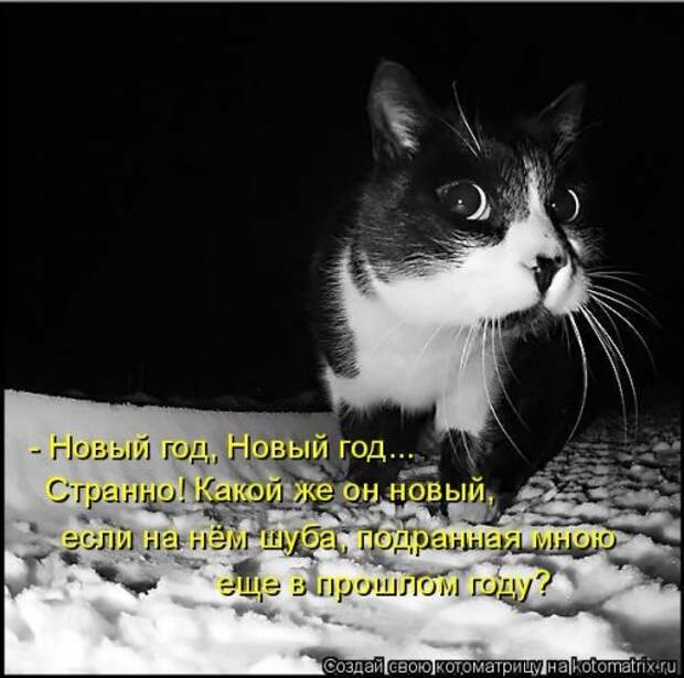 Новая котоматрица для настроения. Смотрим приколы