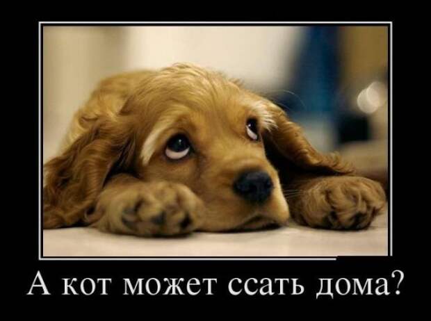 Демотиваторы (30 фото)