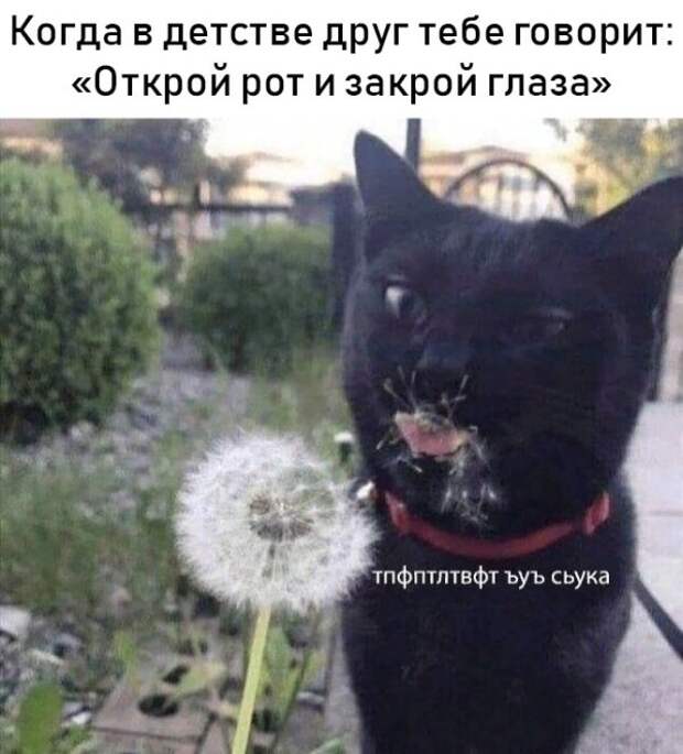 Прикольные картинки абавсём:D