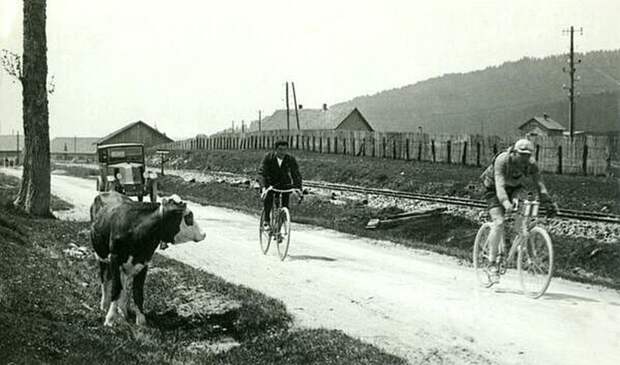 Корова наблюдает за бельгийским велосипедистом Жюлем Буйссе, который выиграл первый этап Тур де Франс в 1926 году 20 век, история, фотографии