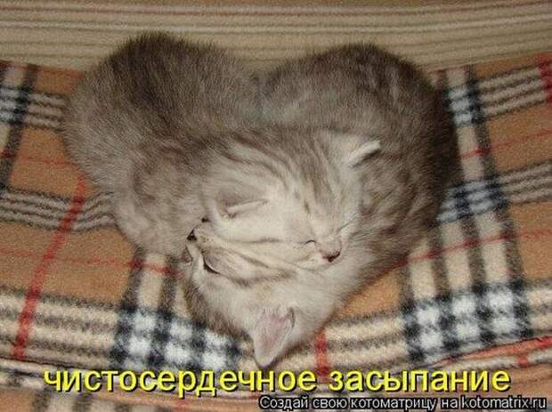 Мысли вслух :)