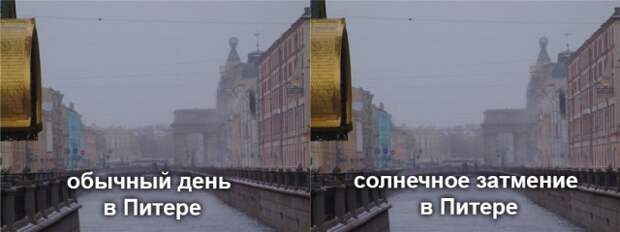 www.vsyako.net
