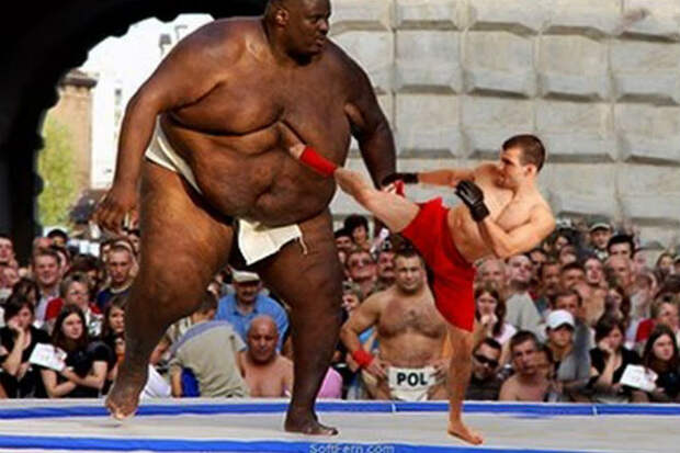 Мощь толстяков на ММА-ринге: титаны веса выходят против профи