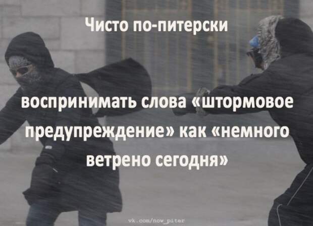 www.vsyako.net