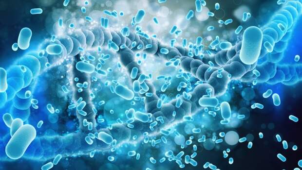 Ученые нашли новый механизм управления весом