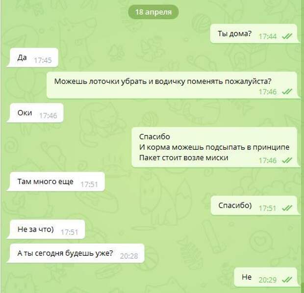 Никогда не знаешь, что на уме у соседок Съемная квартира, Соседи, Грабители, Онанист, Длиннопост, Текст, Реальная история из жизни, Вибратор