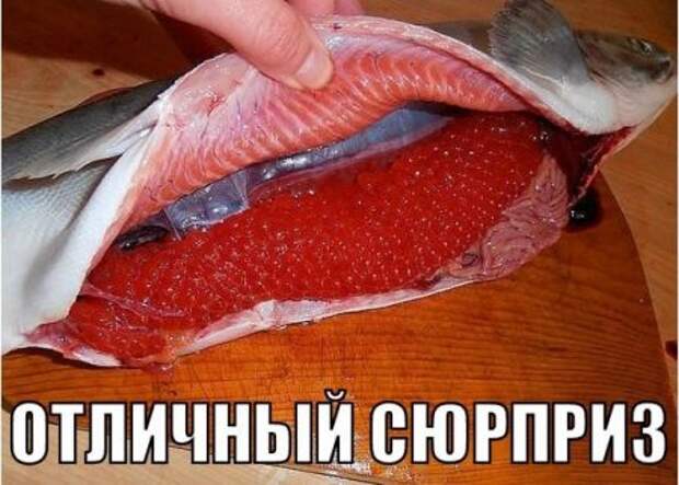 Веселые картинки и приколы для вас!