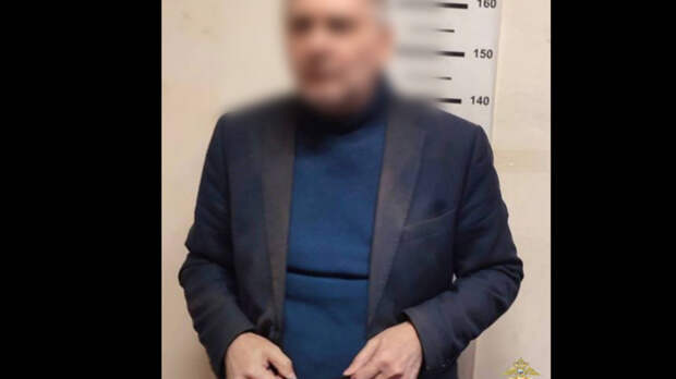 Стало известно, почему извращенца из Соснового Бора не допросили по делу девочки