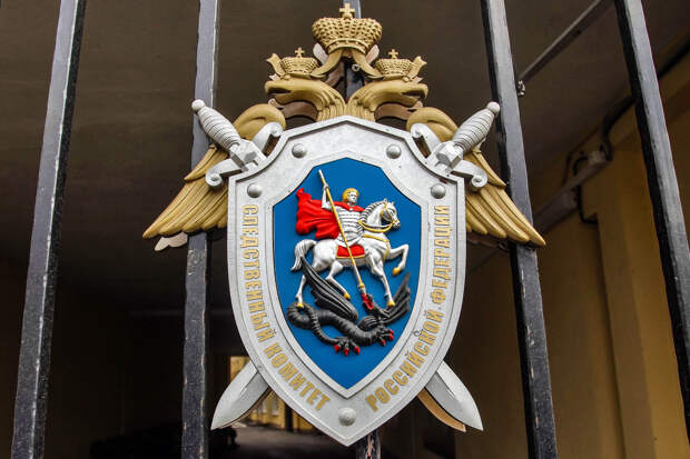 В Госдуме попросили Бастрыкина проверить роддом в Новокузнецке, где умерли дети