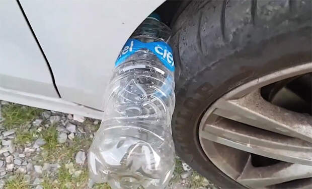 Источник фото: @СПС/YouTube