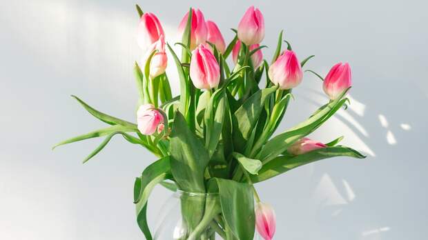 «Без сахара»: флорист объяснила, как сохранить букет свежим как можно дольше