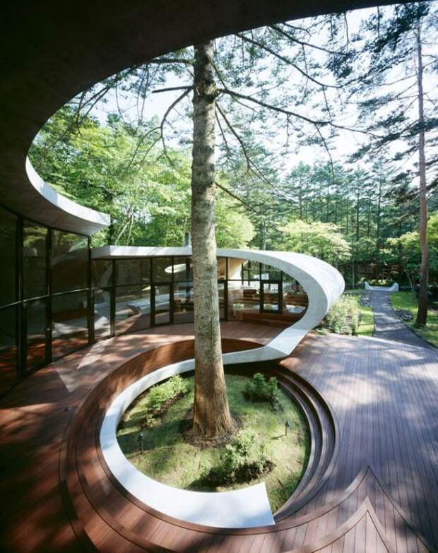 Дерево в оформлении дизайна двора дома