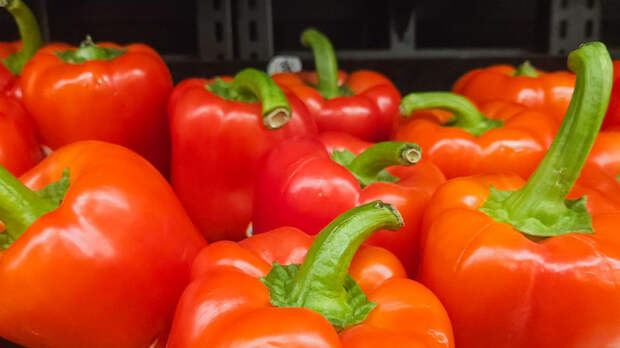 Гастроэнтеролог: шиповник и сладкий перец содержат больше всего витамина С
