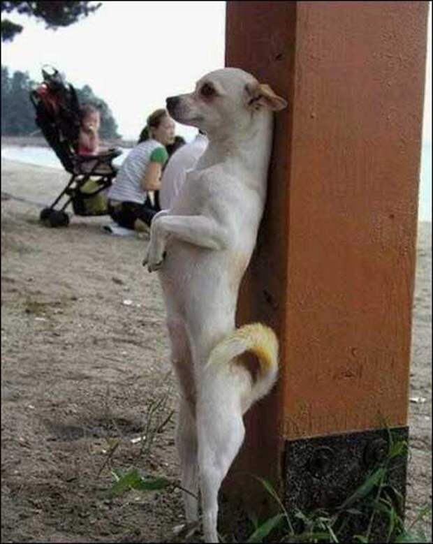 Забавные фотки (38 фоток)
