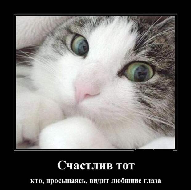 Демотиваторы (30 фото) Демотиваторы (30 фото)