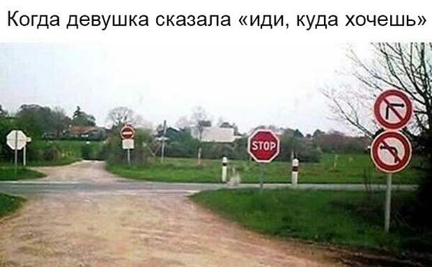 — Куда хочешь!
