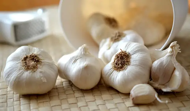 tild3131-6333-4532-b633-393336363938__garlic-545223_1280