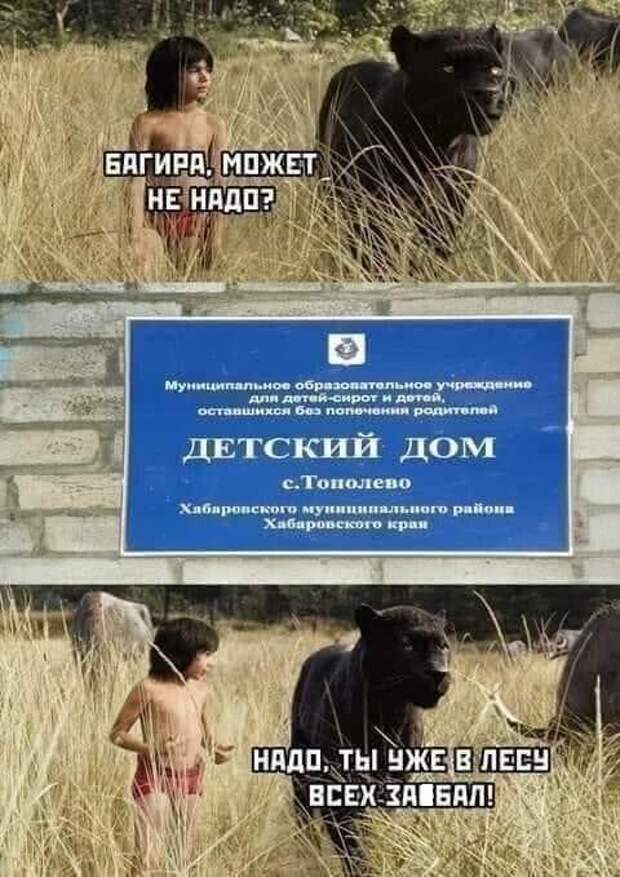 Ржачные до слез свежие мемы (понедельник)