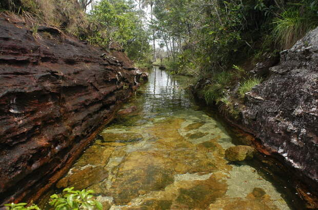Каньо-Кристалес — самая красивая река на земле