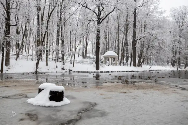 8 марта в Туле будет небольшой снег с ветром до 9 м/с