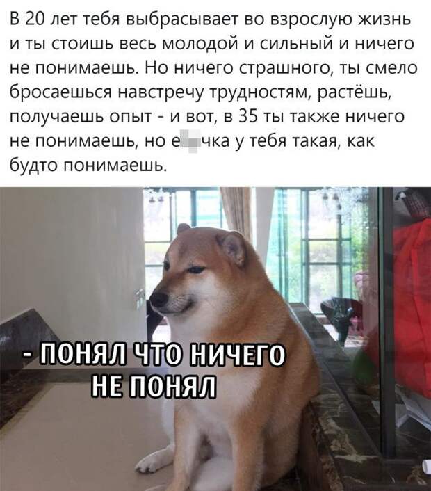 1600331111_podb_31.jpg