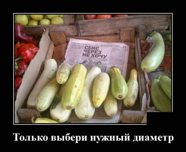 Демотиваторы (30 фото)