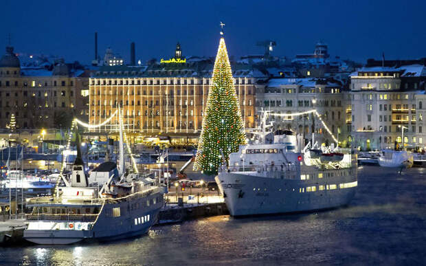 Christmas trees and lights 4 Ёлки и праздничные огни по всему миру
