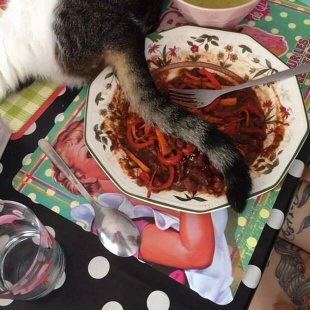 Настоящие приколы. Супер!