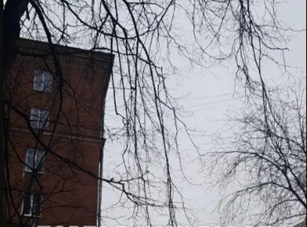 Повисшие на деревьях у дома на Энергетической провода натянули и закрепили